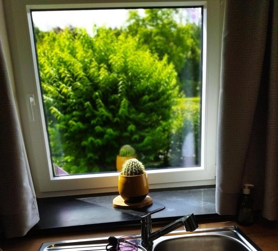 Le Clos Des 3 - Vacances Avec Vue En Ardennes A 5 Kilometres De La Roche - Maison De 90 M2 Avec Chambres - Avec Magnifique Jardin Rendeux Exterior photo